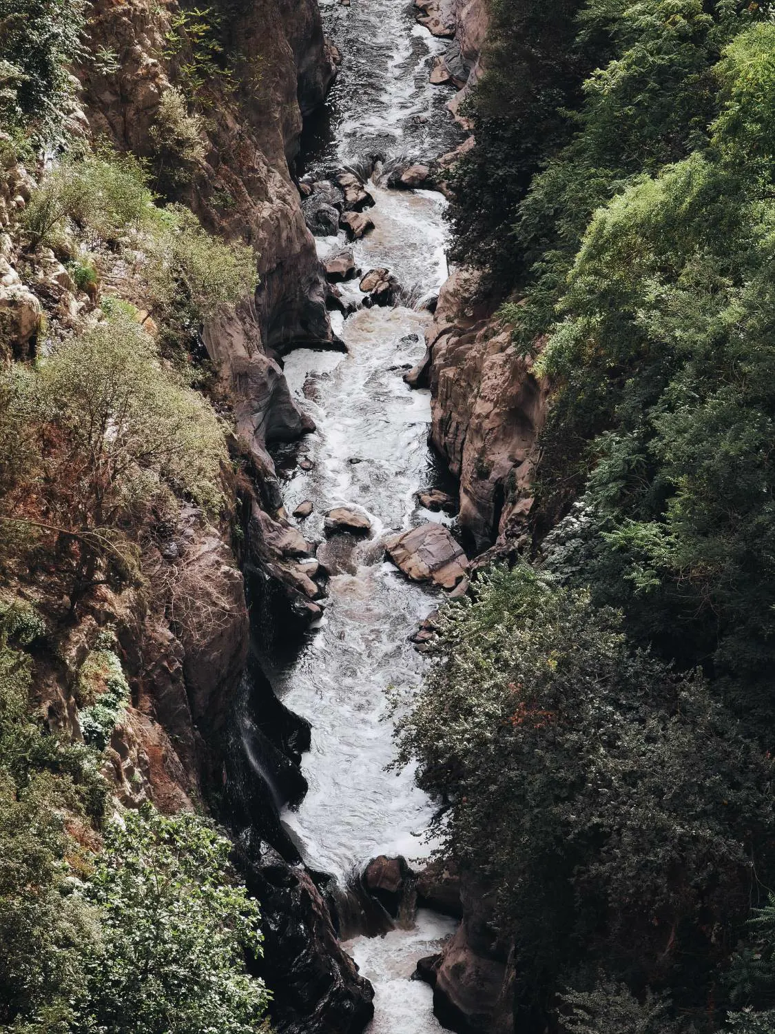 The Rhumel river rushing through the rocks